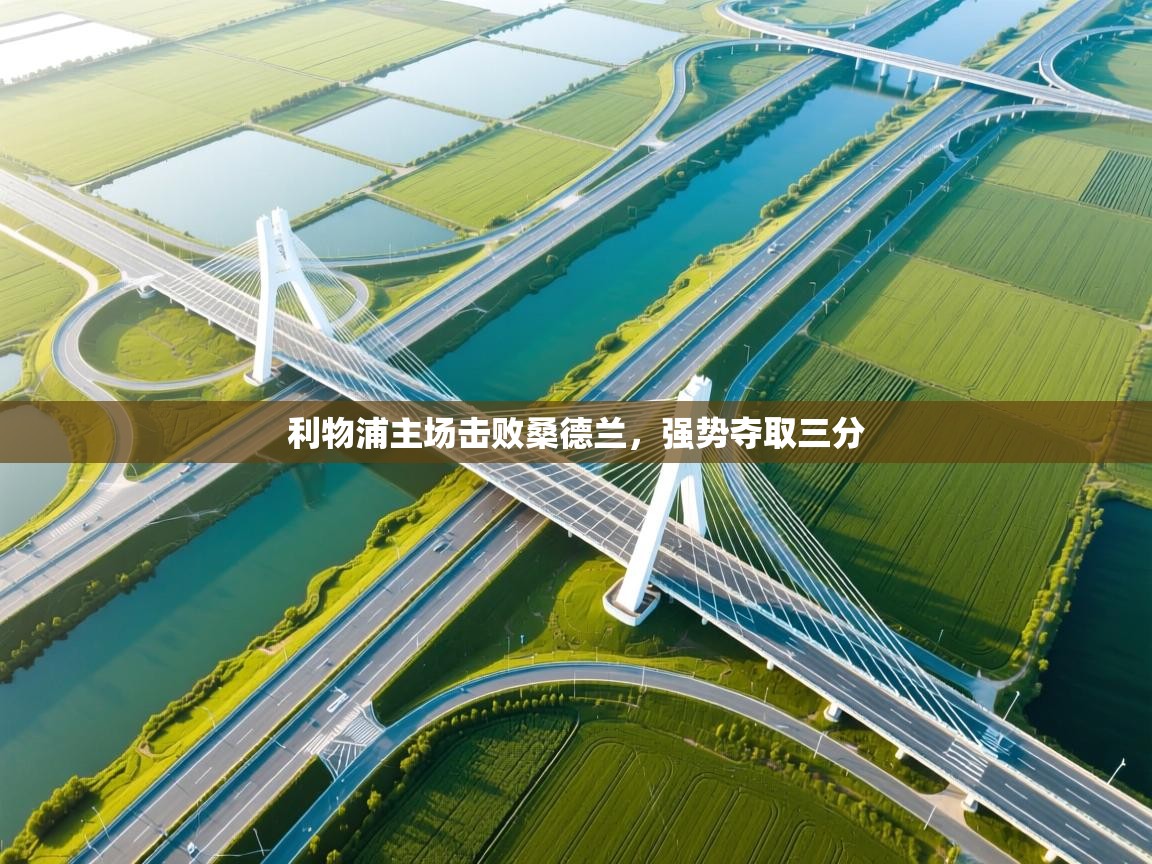 利物浦主场击败桑德兰，强势夺取三分  第2张