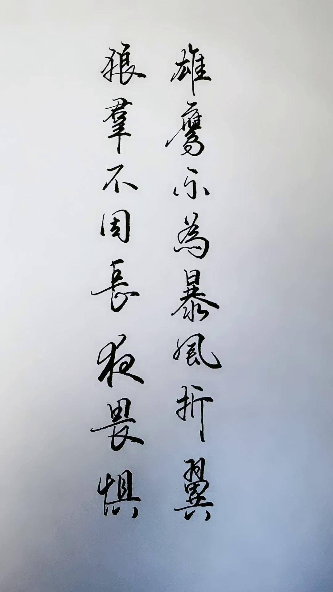 九游体育app下载-关于狼队奋力拼搏，不愿放弃保级希望的信息