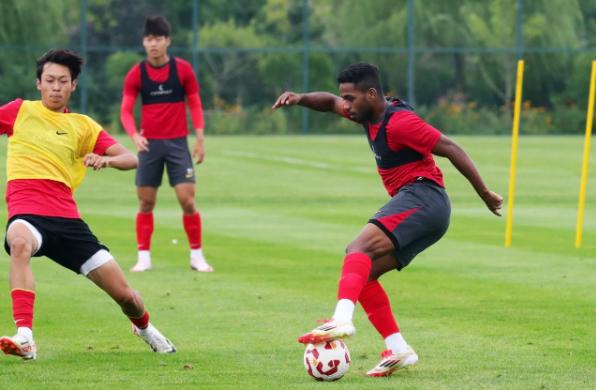 汉堡迎来重要一役,全力备战主场战斗的简单介绍 汉堡迎来重要一役,全力备战主场战斗的简单介绍